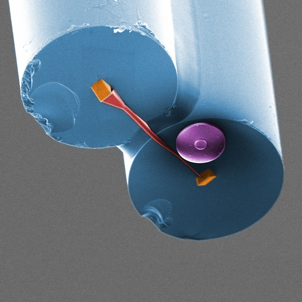 Photonic Nanostructure Facility (PNaF)